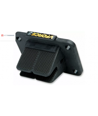 VFORCE/MOTO TASSINARI REEDS...
