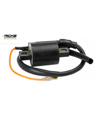 RICK'S MOTORSPORT ELECTRIC...