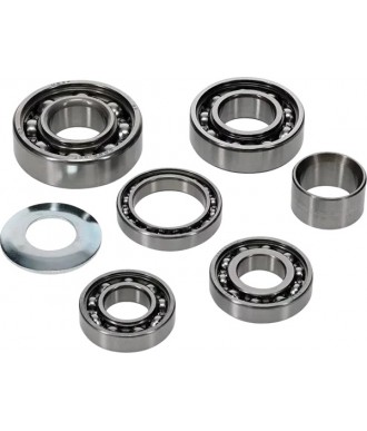 HOT RODS BEARING...