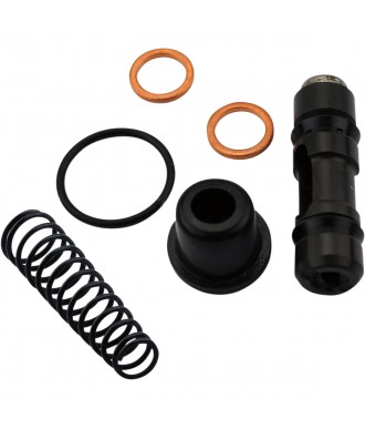 OBNOVITVENI SET ZA MASTER...