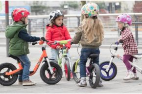 Slika za kategorijo Poganjalci