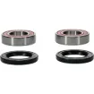 Bearing Kit