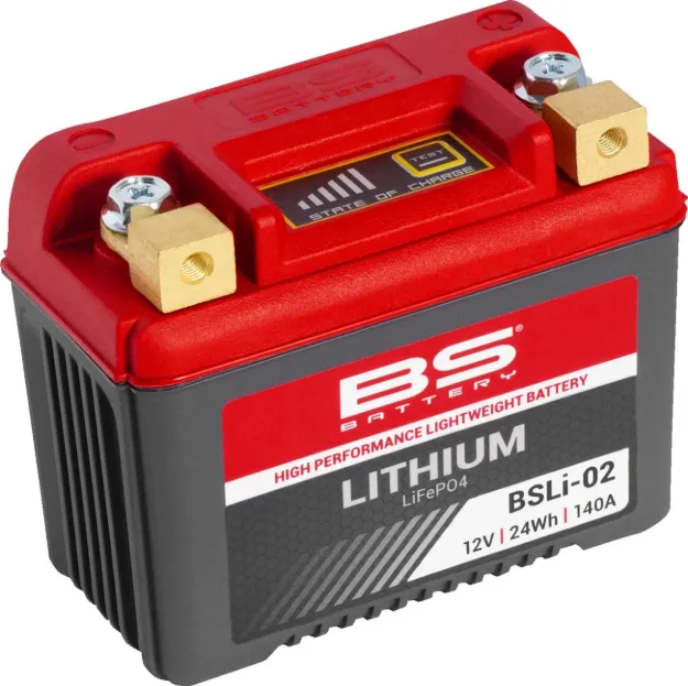 Lithium LiFePO4 Battery
