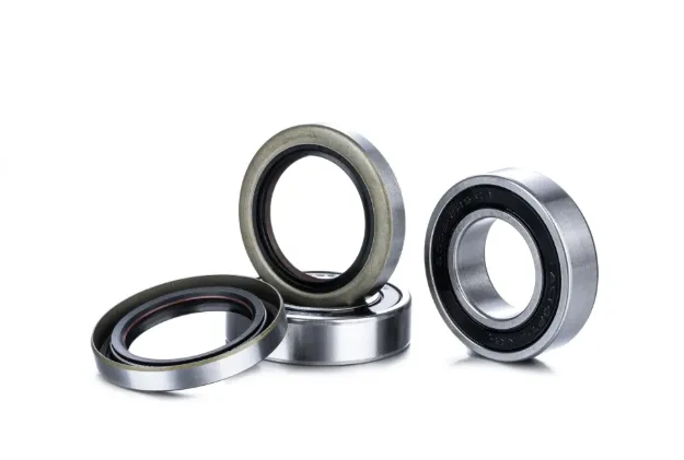 Wheel Bearing Rebuild Kit Race