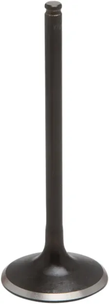 Black Diamond™ Engine Valve