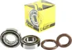 Crankshaft Bearing & Seal Kit