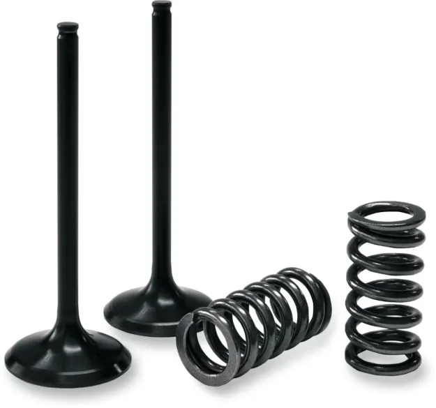 Valve and Spring Kit