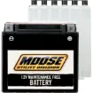 AGM Maintenance Free Batteries