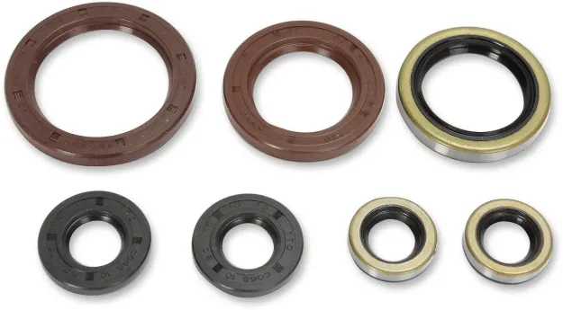 Motor Oil Seals