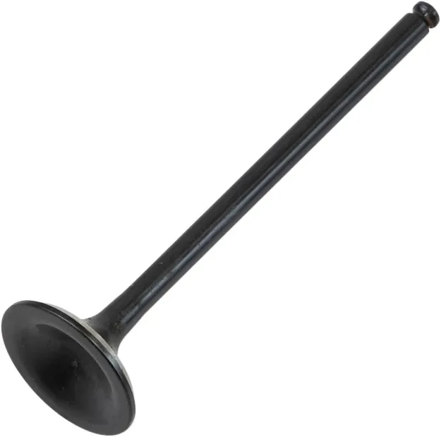 Black Diamond™ Engine Valve