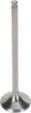 Tensilite® Titanium Engine Valve