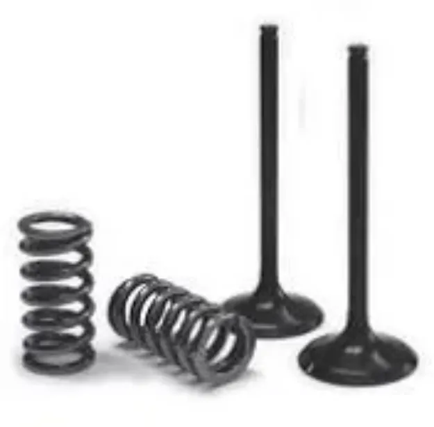 Valve & Spring Kit