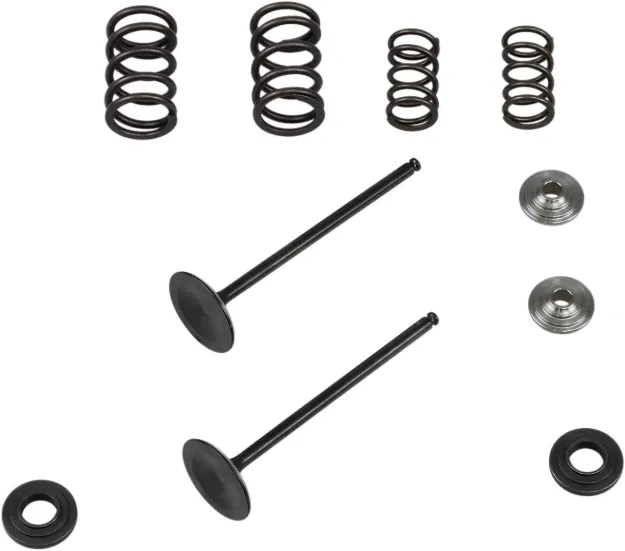 Intake Stainless Conversion Valve and Spring Kit