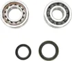 Crankshaft Bearing and Seal Kit