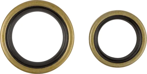 Crankshaft Oil Seal Kit