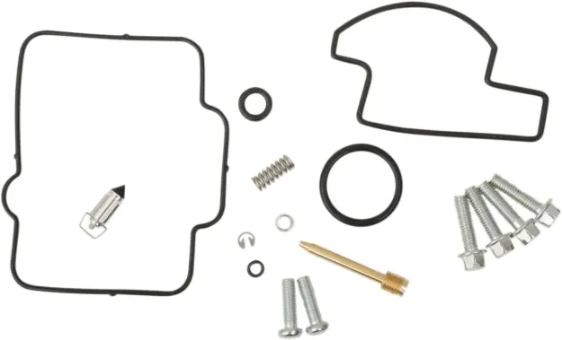 Carburetor Repair Kit