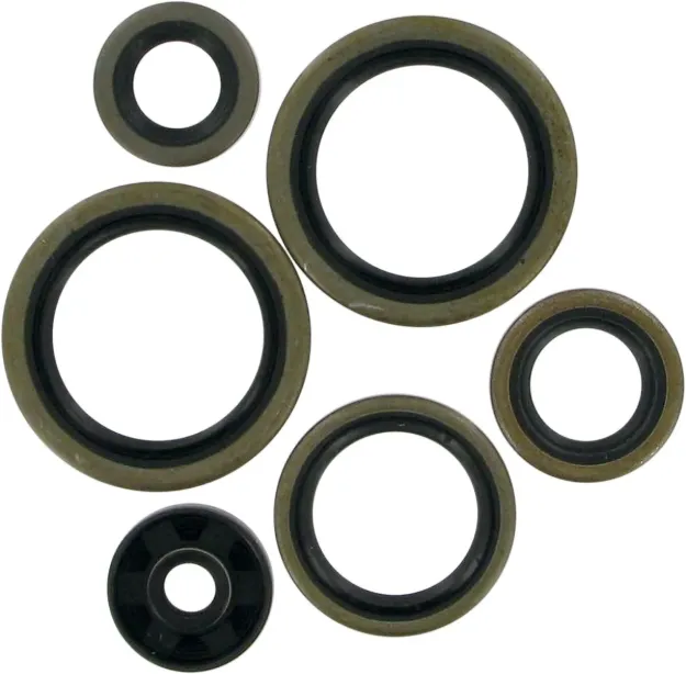 Motor Oil Seals