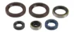 Engine Oil Seal