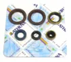 Engine Oil Seal