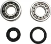 Crankshaft Bearing and Seal Kit