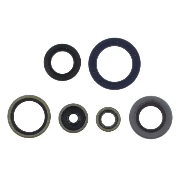 Engine Oil Seal