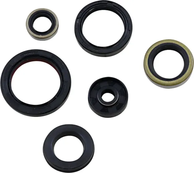Oil Seal Kit