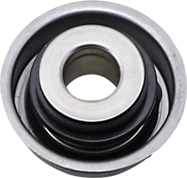 Water Pump Seal