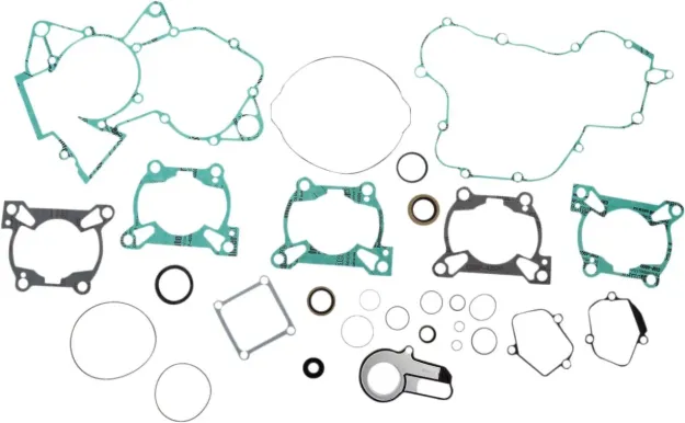 Complete Gasket Kit with Oil Seals