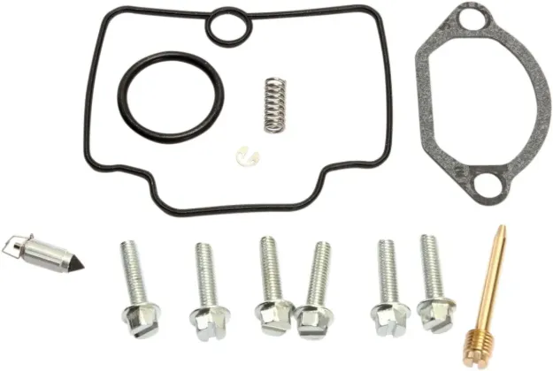 Carburetor Repair Kit