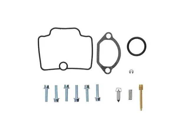 Carburator Rebuild Kit