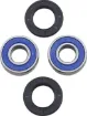 Replacement Bearings/Seals for Rear Wheel Bearing Upgrade Kit