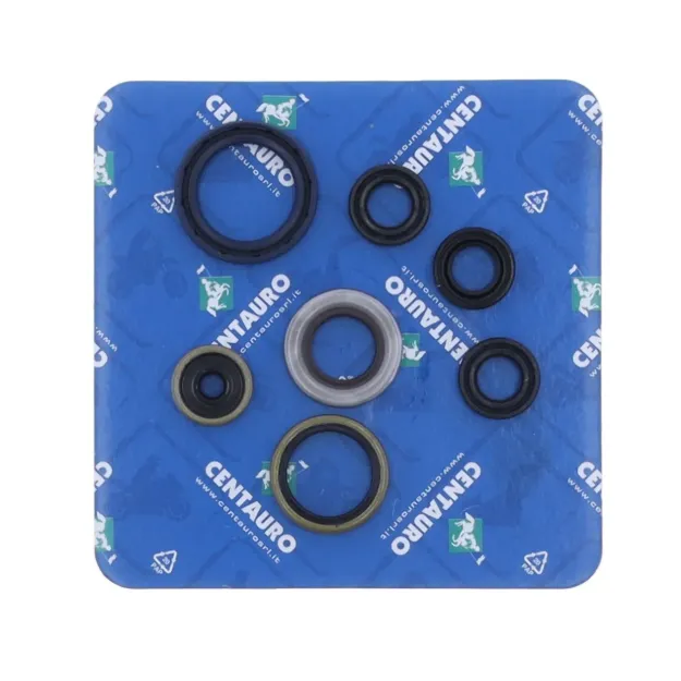 Oil Seal