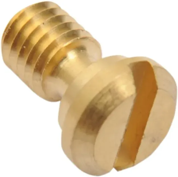 Front Fork Bleed Bolt