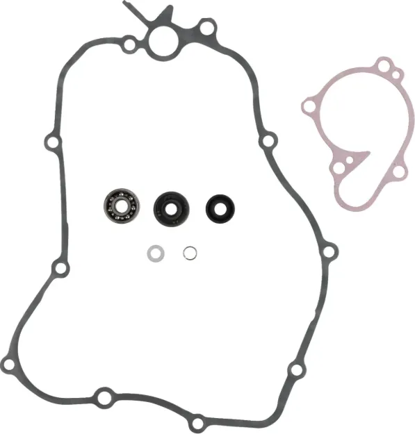 Water Pump Rebuild Kit