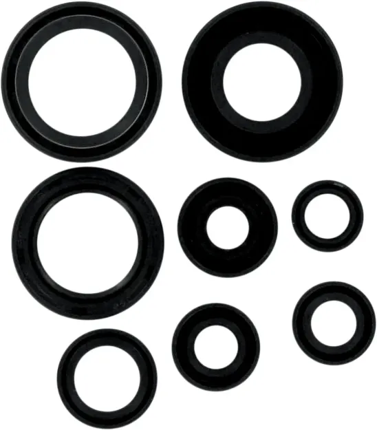 Motor Oil Seals