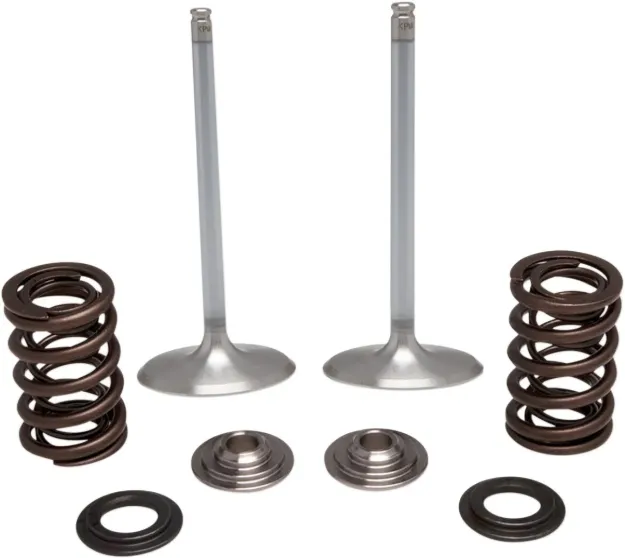 Intake Stainless Conversion Valve and Spring Kit