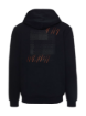 RED BULL Carbon Hoodie