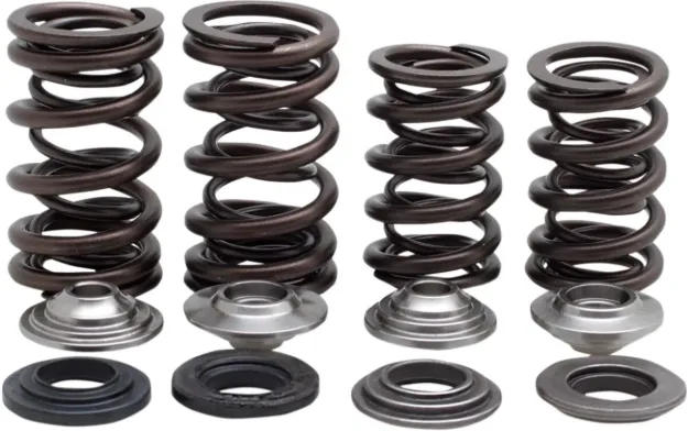 Valve Spring Kit