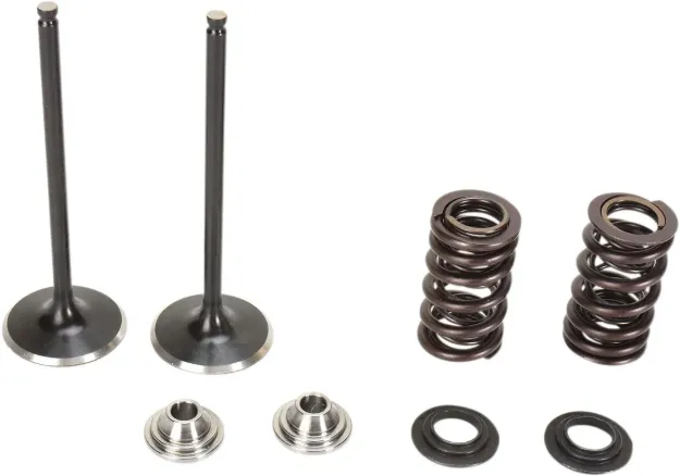 Intake Stainless Conversion Valve and Spring Kit