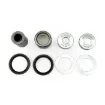 Lower Shock Bearing Kit