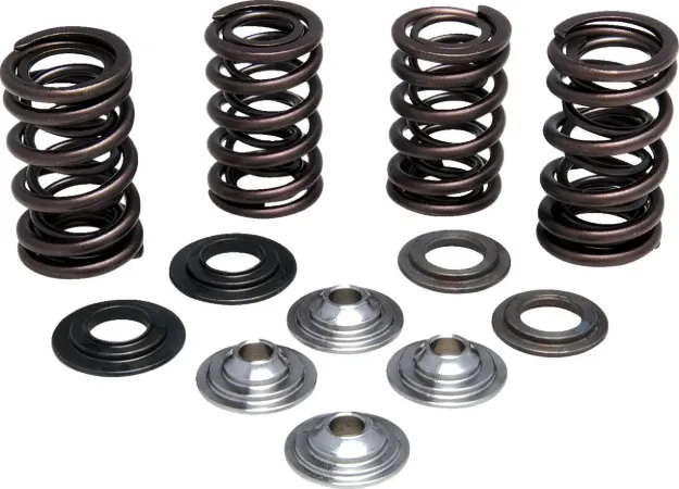 Lightweight Racing Valve Spring Kit