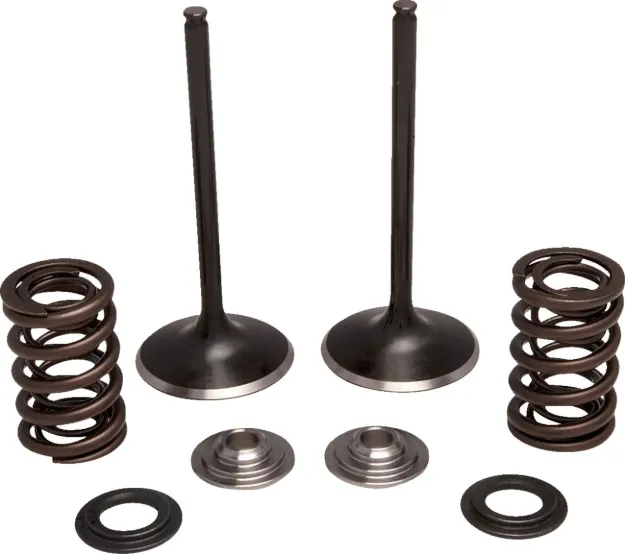 Intake Stainless Conversion Valve and Spring Kit