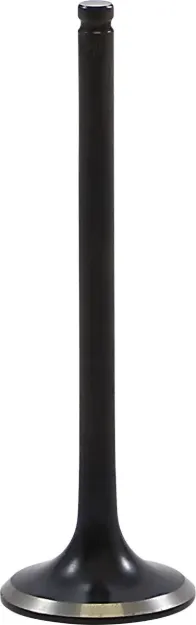 Black Diamond™ Engine Valve