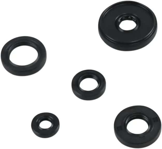 Oil Seal Kit