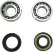 Crankshaft Bearing and Seal Kit