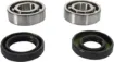 Crankshaft Bearing and Seal Kit