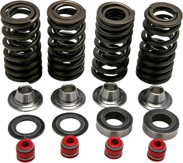 Valve Spring Kit