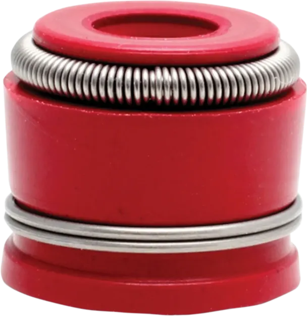 Valve Guide Seals