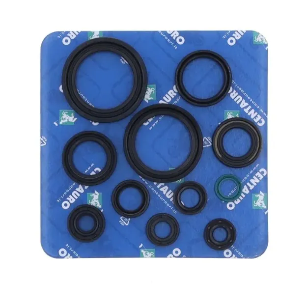 Oil Seal
