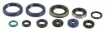 Engine Oil Seal